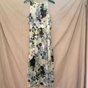 Dex Floral Spring Dress